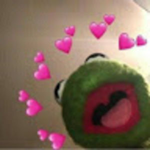 Meet your Posher, Gracie